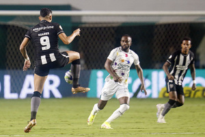 Goiás 2-1 Botafogo
