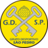 Grupo Desportivo So Pedro